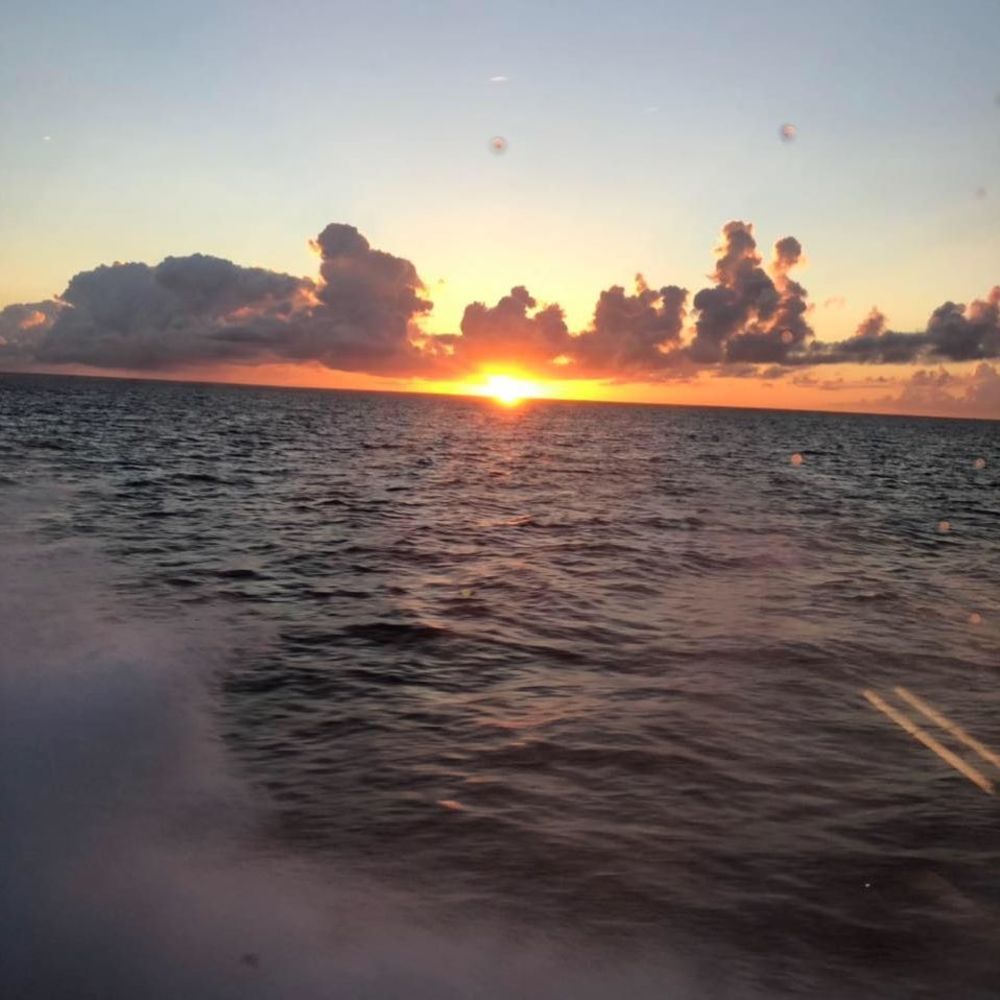 Meet your Posher, Esdras